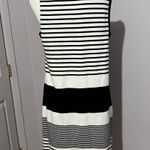 Talbots Stripe Petites Dress Photo 1