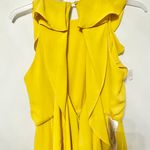 BCBGMAXAZRIA BCBG Angelika Ruffled halterneck back cutout leg slit sleeveless maxi Dress evening gown Photo 7