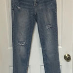 Pilcro ANTHROPOLOGIE  SLIM BOYFRIEND JEANS DISTRESSED SIZE 26 Photo 0