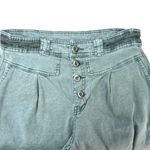 Sundance | 6 | Pleated Front Linen Pant Trouser Women's Sea Green Photo 1