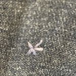 Gap Factory Store Women’s Skirt Size 14 Photo 11