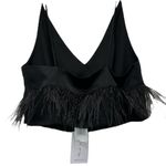 WAYF “Feather Trim” Satin Crop Top –Black Bustier Cami, Size S Photo 3