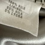 St. John  Evening by Marie Gray Silver Chiffon Overlay Ballet Coquette Skirt Photo 3