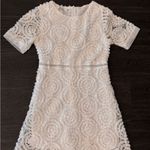 Womans Mocha Elegant Casual Skirt Cream White Dress Size Small Photo 0