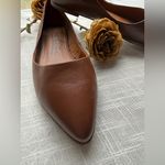 Zodiac  Hill Snake Embossed Pointed Toe Flat Photo 1