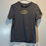 Hurley The  Surf Company Gray Logo Shirt Size Small EUC #6345 Photo 1