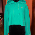 Champion NWOT- cropped hoodie Photo 0
