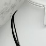 Chico's  Striped Slab Pendant on Black Cord and Silver Tone Necklace ✨ Photo 9