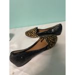 Dooballo Chettah With Glitter Black Flat Shoes‎ S Photo 4