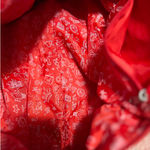 Little Miss Matched Girl's‎ Black Red White Duffel Bag Zipper Closure Photo 4