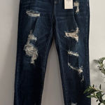 Cello  Dark Blue Denim Jeans Photo 0