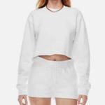 Aritzia Cozy AF Cropped Crewneck Photo 4