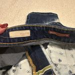 Pilcro anthropologie  boyfriend jeans size 28 Photo 3
