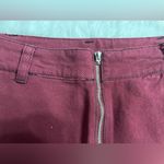 Francesca's Francesca’s Dark Red Skirt Photo 3