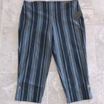 Audrey Attyre Ankle Pull-On Pants Navy Striped Cropped Stretch Plus Size 24W NWT Photo 8