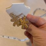 light blue flower Photo 6