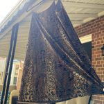 Peach Love California Animal Printed Dress Photo 9