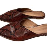Madewell The Emilia Mule in Snake Embossed Leather, Sz 8 Photo 4