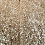 Dress the Population  Sequin Lace Overlay Dress Long Sleeve Cream Size Small FLAW Photo 6