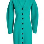 ALC Frank NWT A.L.C. Knit Nate Button down puff sleeve dress XS Aqua Jade Photo 2