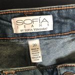 Sofia Vergara Jeans Chi Stretch High Rise Shortie Shorts Sz 20 Distressed Photo 5