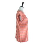 Dress Barn Women’s Tee Shirt Scoop Neck Short Sleeve Cotton Stripe Size Large Photo 1