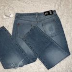 Urban Outfitters NWT  Size 31 Boyfriend Low Rise Medium Wash Distressed Jeans Photo 1