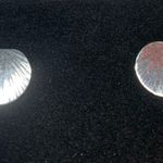 Thin Sterling Silver Seashell Embossed Stud Earrings 925 Photo 1