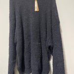 SKIMS NWT  COZY UNISEX BLACK HOODIE SZ 2X/3X Photo 0