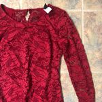 Windsor [] medium red lace fitted button down dress Photo 1