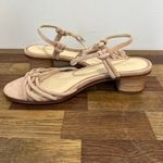 J. McLaughlin  Womens Sandals 8 Nude Strappy Kitten Heel NEW Reptile Heel Minimal‎ Photo 2