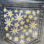 Victoria's Secret PINK  Denim Jean Short Shorts Daisy Pocket Size 0 Photo 2