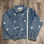 Veveret Daisy Photo 10