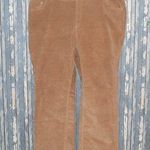 Woman Within  Women's Brown Corduroy Pants Plus Size 24W Stretch Straight Leg Photo 0