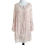 Anthropologie Floreat Esme Dress in Blush Pink Rose Size 4 Dainty Ethereal Lace Photo 5