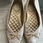 Birdies  Goldfinch Pointy Toe Ballet Flat Size 5.5 Photo 10