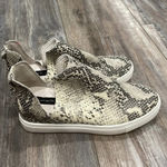 Steven By Steve Madden Steven Steve Madden Snakeskin Sneakers 8 Photo 2