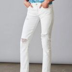 Anthropologie NWT Pilcro The Slim Boyfriend Jeans Size 32. A42 Photo 2