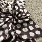 Max and Cleo NWT  Polka Dot print Dress Size 4 Photo 5