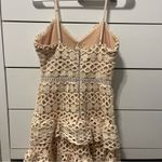 Lulus Lulu’s Beauty and Lace Pale Blush Crochet Lace Mini Dress Photo 2