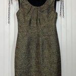Michael Kors  Women’s Black & Gold Shimmer Scoop Neck Sleeveless Dress Size 4 Photo 0