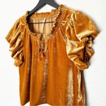 Free People Top Womens Velvet Short Puff Sleeve Boxy Romantic Boho Glam Size S Photo 4