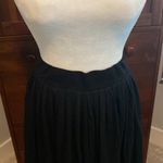 Goldie NWOT  Dirndl Skirt Sz L Photo 1