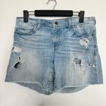 Anthropologie Pilcro Hyphen Distressed Cutoff Jean Shorts Photo 0