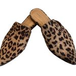 Banana Republic Factory Cheetah Slide Mules Photo 3