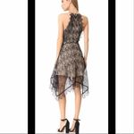 ACLER Burton Lace dress Black Size 6 Photo 3