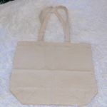 Aviator Nation Canvas Tote *Venice, CA 4 Stripe W/Logo NIP Photo 3