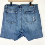 Judy Blue Patch Cut Off Shorts Size 3XL Distressed Raw Hem Stretch Photo 2