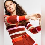 Charter Club Luxury Cashmere Striped Sweater Midi Dress Photo 2