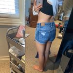 American Eagle  Distressed Shorts Photo 6
